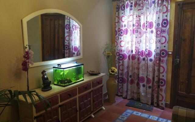 Guest House Casa Tacoronte
