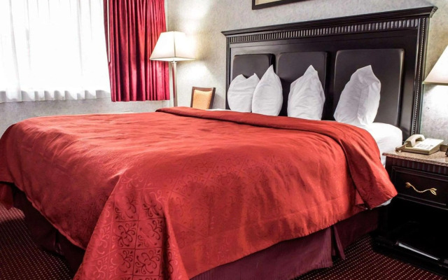 Quality Inn & Suites North