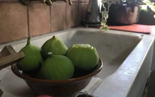 Mylopetra Four Seasons Traditional House