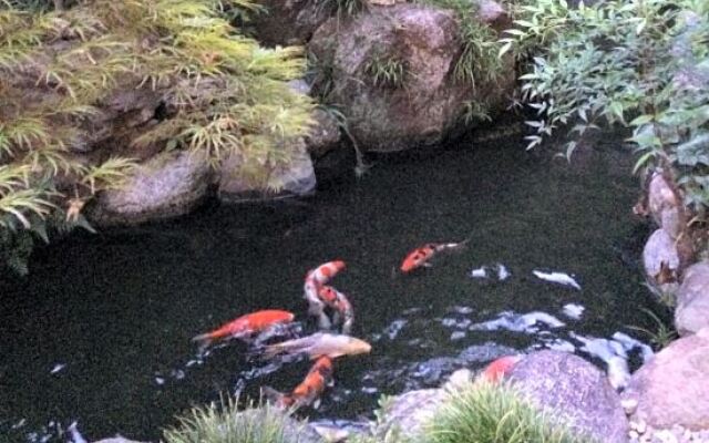 Yachiyo Kappou & Ryokan