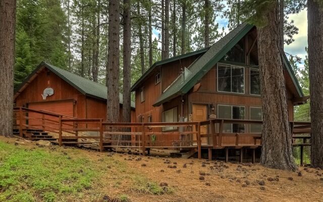 Woodland Escape - Cute Little Cabin in the Woods!