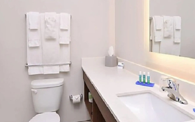Holiday Inn Express Hotel & Suites La Place