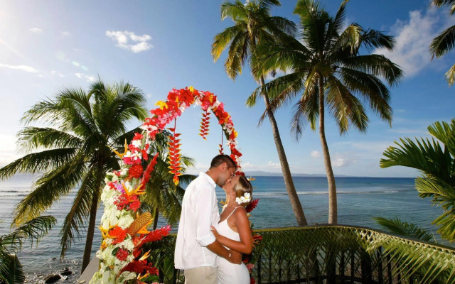 Taveuni Palms