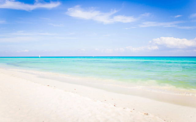 The Reef Playacar Beach Resort & Spa