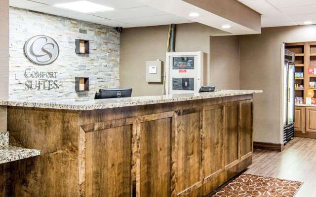 Comfort Suites Fredericksburg South