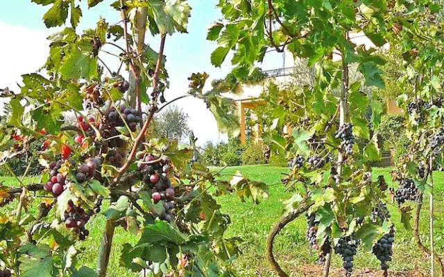 Villa Montecasciano - 8 Sleeps Private Garden