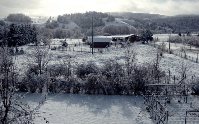San Lorenzo Si Alberga