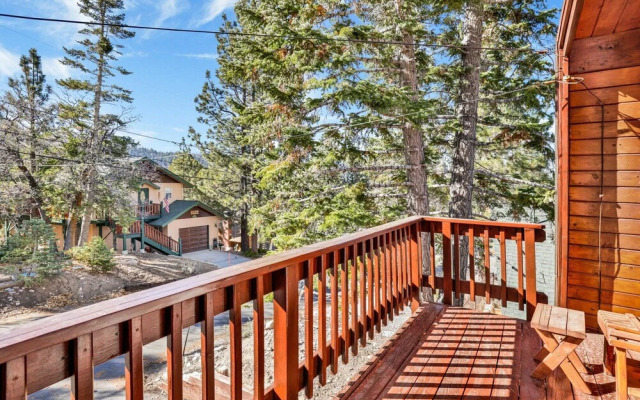 Natures Delight #2413