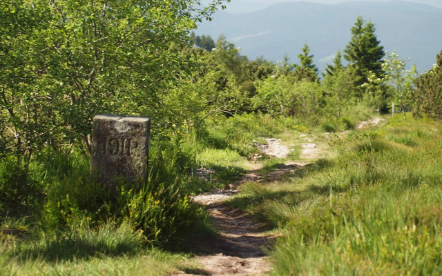 Wellness- & Nationalpark Hotel Schliffkopf Bwsc