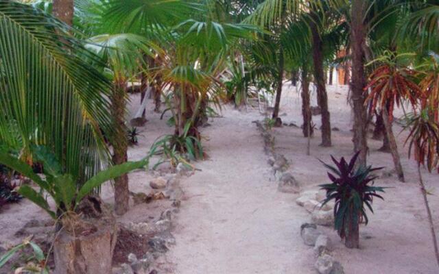 Azucar Tulum