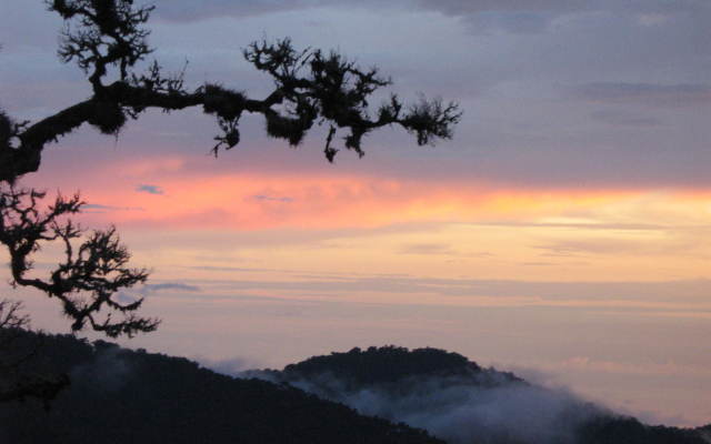 Dantica Cloud Forest Lodge