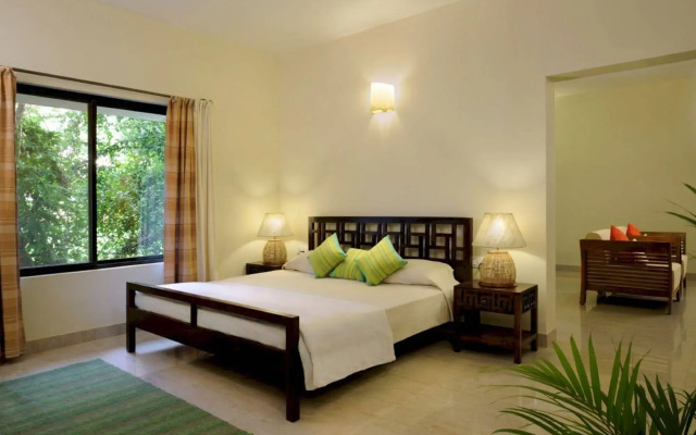 Embassy International Riding School