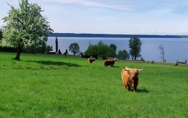 Stunning Sleeps 9 Lakeview Loghome, Spa & Yoga