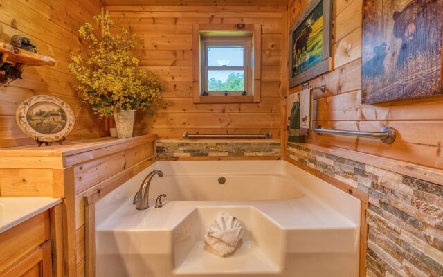 Lazy Bear Ranch #430 by Aunt Bug's Cabin Rentals