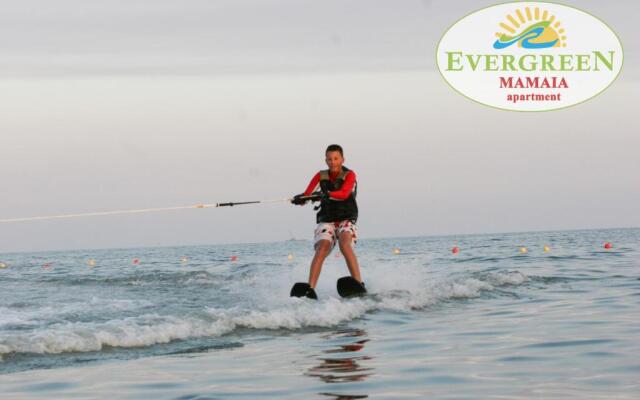 Evergreen Vlas Mamaia