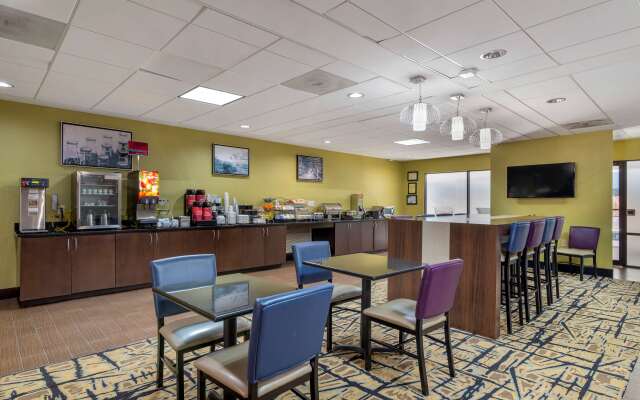 Best Western Plus McDonough Inn & Suites