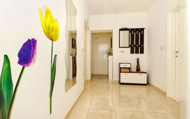 Apartments Pavkovic