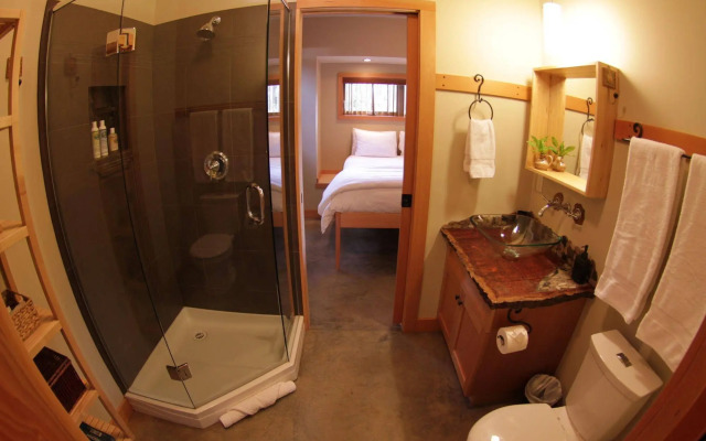 Black Bear Guesthouse