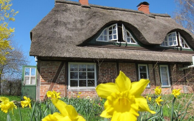 Big Holiday Home in Pronstorf Germany With Private Garden