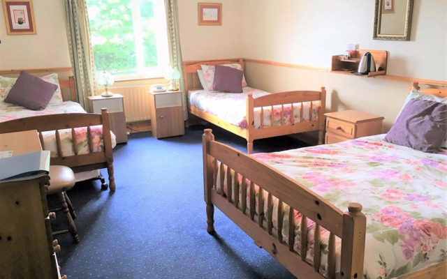 O'Connors Guesthouse