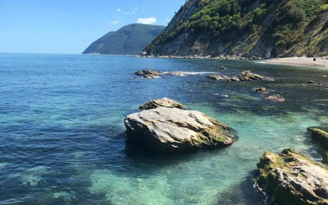 Brezza Del Conero