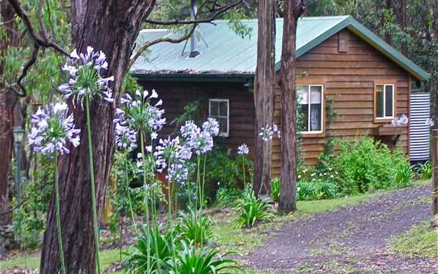 The Rustic Spirit