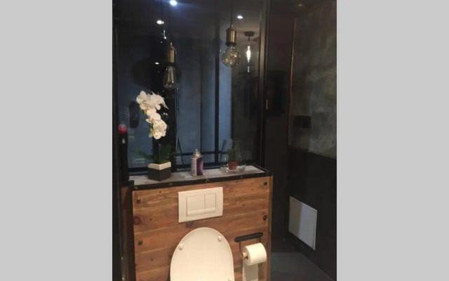 T3 duplex industriel hyper centre ville historique