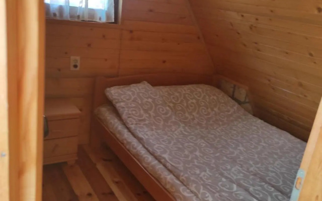 Vila Carobna suma Tara