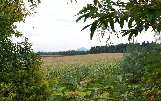 Modern Apartment in Reinhardtsdorf-Schona near Ski Slopes