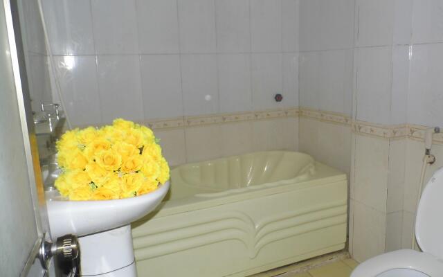 Home Backpackers Hostel