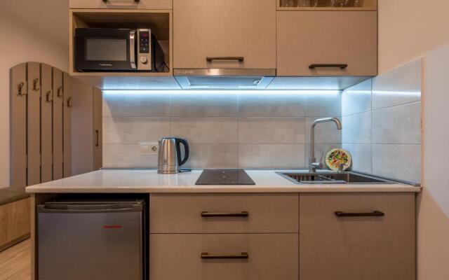 New Gudauri Alpic 309