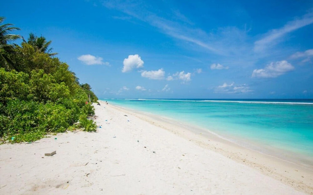 Tropicana Beach and Spa