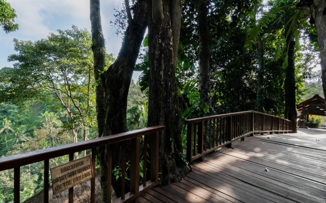 Natura Resort and Spa