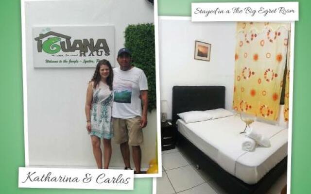 Iguana Haus