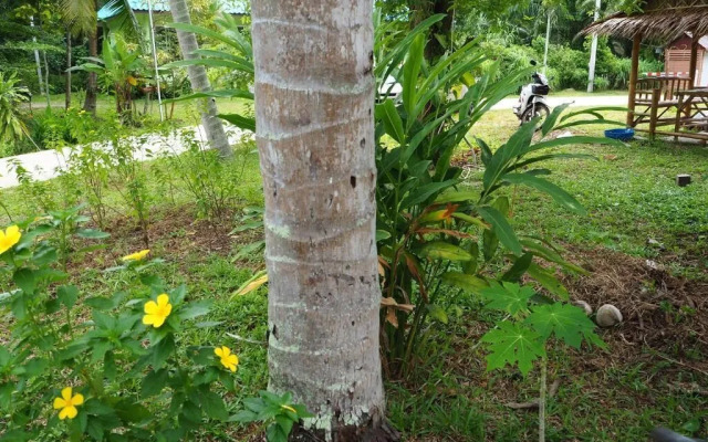 Pru Valley Thaley Tai Resort