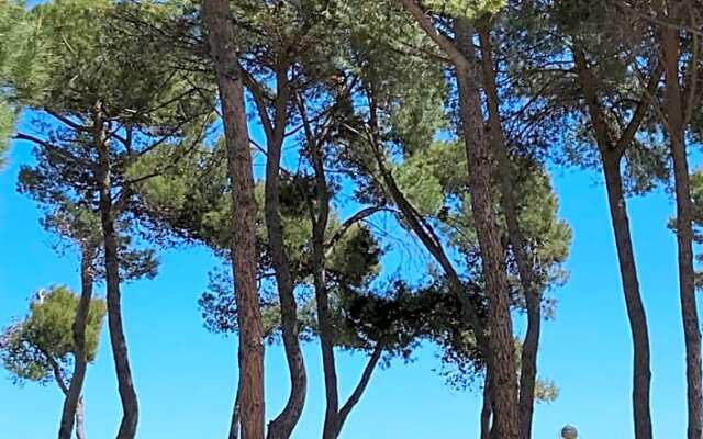 B&B Dolce Far Niente