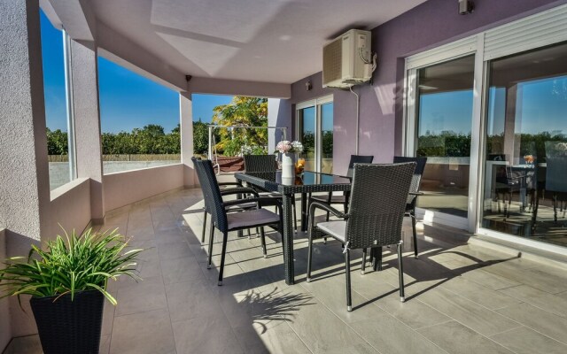 Ani Smil i in Smil i