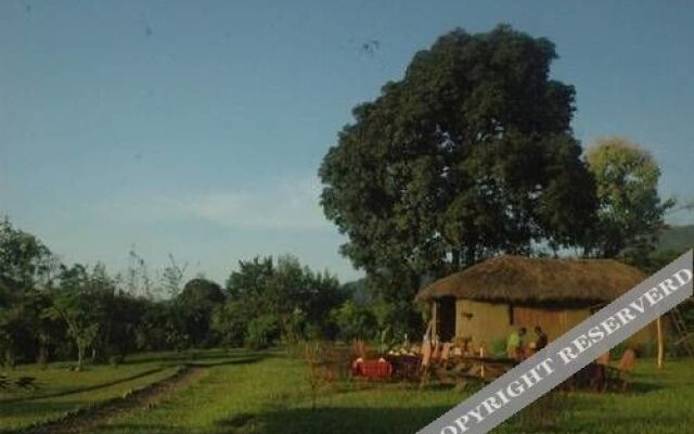 Udzungwa Forest Camp