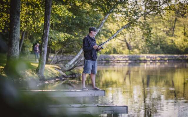 Mountain Springs Lake Resort