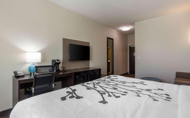 Sleep Inn & Suites Tampa South