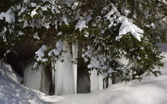 Classy Apartment in Bad Sachsa