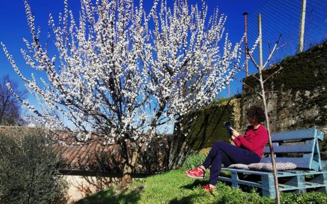 Casa Graziella- Appartamenti Vacanze