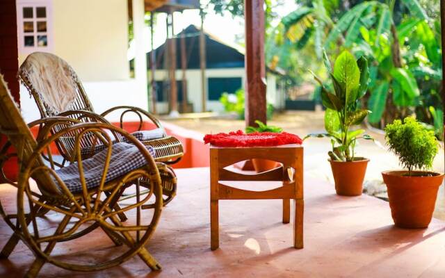 Standard Double Room-wayanad