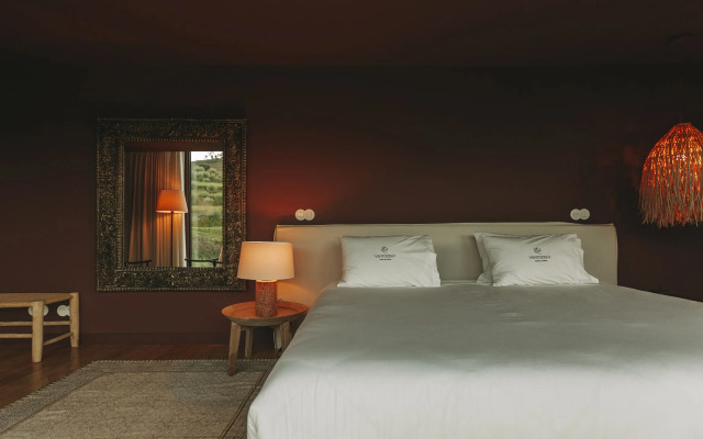 Ventozelo Hotel & Quinta