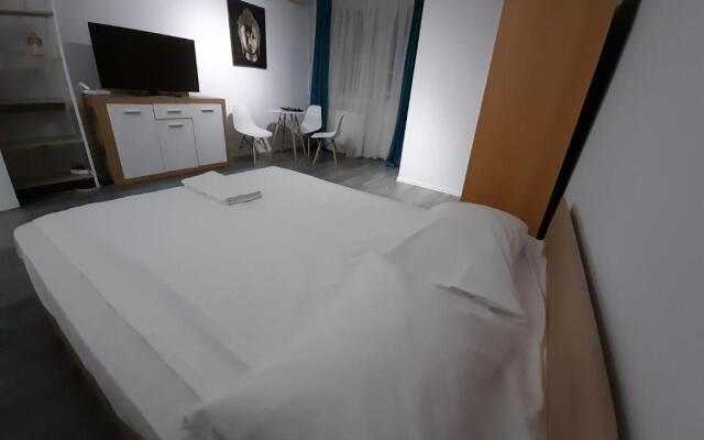 Bega Circumvalatiunii 1 Room Apartment