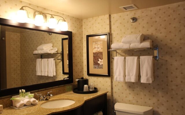 Holiday Inn Express & Suites Mobile West I-10 by IHG