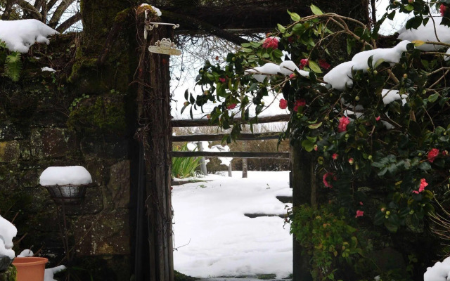 Camino Real de Selores