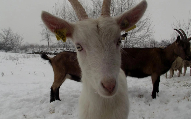 Tenuta del Vecchio Mulino