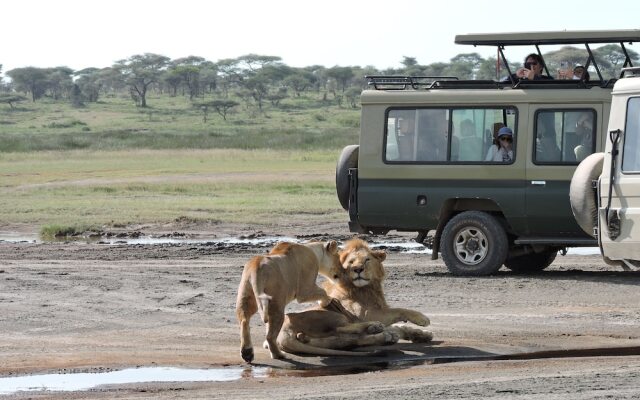 Stc.Safari lodge