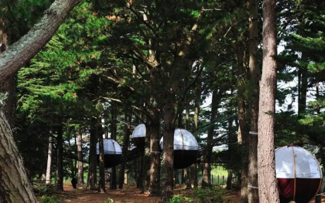 Les Nids du Parcabout